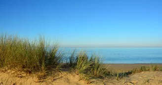 Plage de la Gautrelle Plage de la Gautrelle