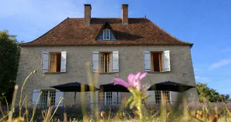 Gîte Villa de bannink - 10 pers
