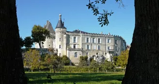 Jonzac, Ville historique et thermale