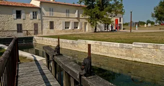Jonzac, Ville historique et thermale