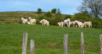 Les Baumes de Tersanne - village de gîtes Les Baumes de Tersanne - village de gîtes