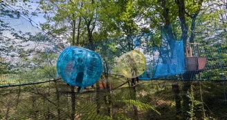 La Forêt des Champos