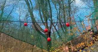 La Forêt des Champos