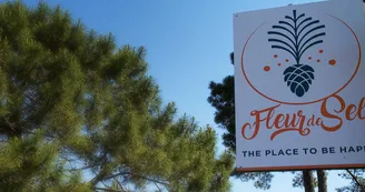 Camping insolite Les Pins de Sel Camping insolite Les Pins de Sel