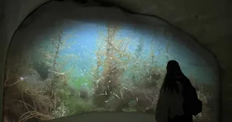 Fort Liédot