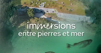 Fort Liédot