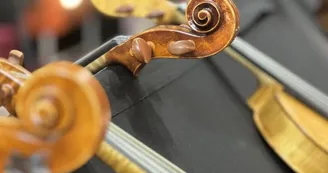 Atelier de lutherie Bruno Campanati