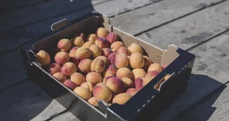 Les Vergers du Puits
