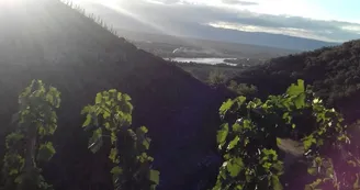 Domaine Blachon Domaine Blachon