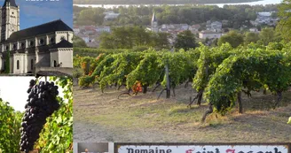 Domaine Blachon Domaine Blachon