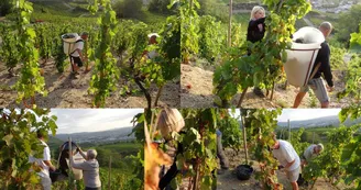 Domaine Blachon Domaine Blachon