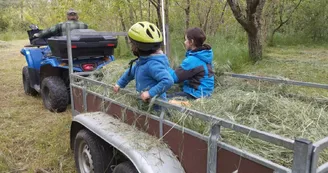 Camping rural les Amandiers