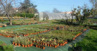 Les Jardins de Sardailhac