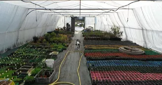 Les Jardins de Sardailhac