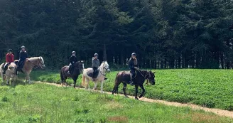 Balade à cheval au Centre équestre d'Antoulin