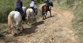 Balade à cheval au Centre équestre d'Antoulin