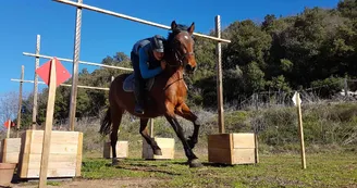 Equitation - Ferme équestre Le Foussac