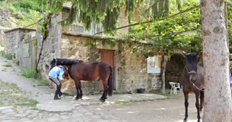 Equitation - Ferme équestre Le Foussac