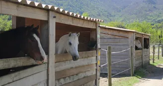 Equitation - Ferme équestre Le Foussac