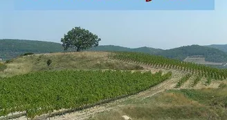 GAEC des Vigneaux