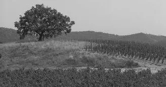GAEC des Vigneaux