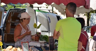 Marché traditionnel