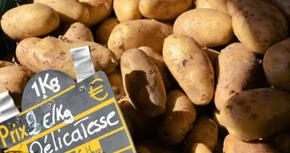 Marché traditionnel