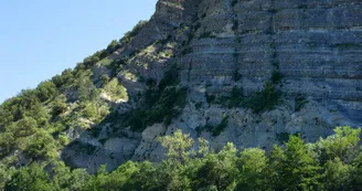 Parcours accrobranche - Accroche Toi aux Branches