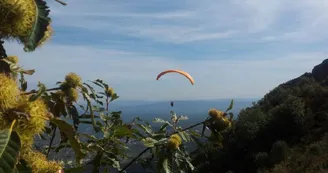 Parapente - Barbule Parapente - Barbule