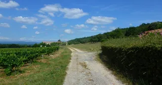 Gîte La Fenière Gîte La Fenière