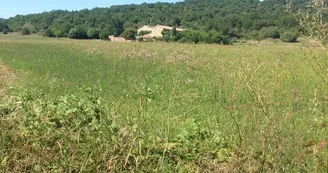 Gîte La Fenière Gîte La Fenière