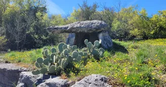 Gîtes Le Dolmen