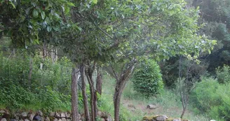 Gîte N°2