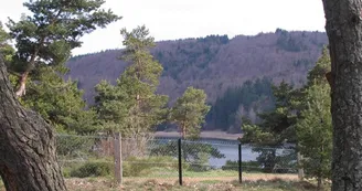 Les gîtes du lac d'Issarlès
