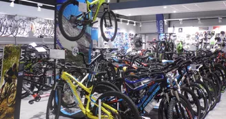 Culture vélo Culture vélo