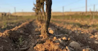 Domaine Aléofane