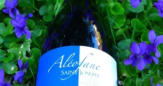 Domaine Aléofane