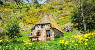 Gîte Chaumière dans un écrin de nature
