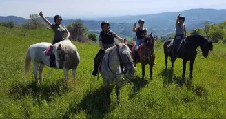 Promenades et randonnées à cheval