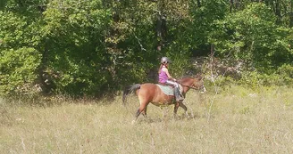 Promenade équestre à poney ou à cheval - Centre équestre Les Combes Promenade équestre à poney ou à cheval - Centre équestre Les Combes