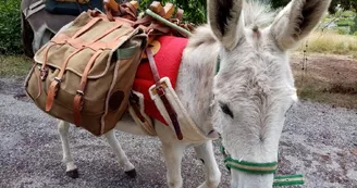 Partez avec les ânes de Camin'âne
