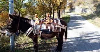 Partez avec les ânes de Camin'âne