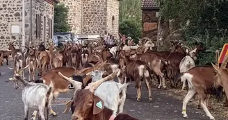 Gîte d'étape "La Louisette"