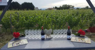 Domaine Lionel Brenier
