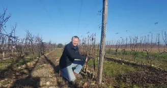 Domaine Lionel Brenier