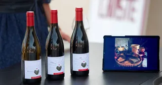 Domaine Lionel Brenier