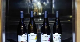 Domaine des Combat