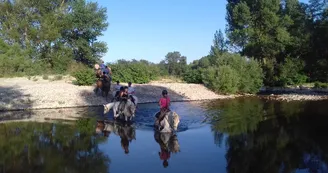 Cours, stages et compétitions au Centre équestre l'Hippocampe