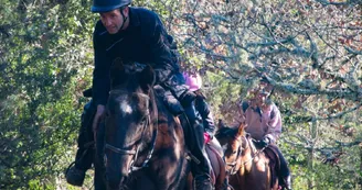 Cours, stages et compétitions au Centre équestre l'Hippocampe