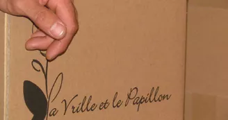 La Vrille et le Papillon